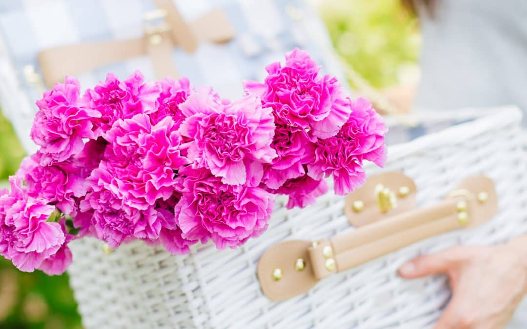 Brighten Your Home with Flowers!
