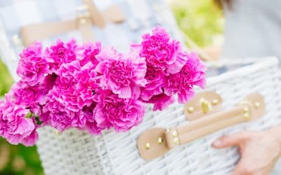 Brighten Your Home with Flowers!