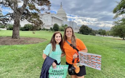 Support the Assault Weapons Ban Bill: An Interview with Chicago North Shore Moms!